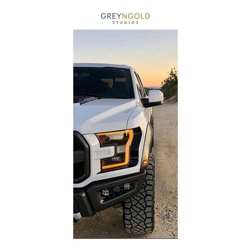 White ford 150 raptor - white,