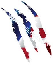 fits Ford Raptor Scratch Logo